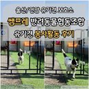 서진철물 | 유기견 봉사활동 후기, 언양 쌤프레 반려동물협동조합