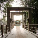 [14]부산갈매기 걷다-대중교통여행기(담양2)-대나무숲에 들어가다 이미지