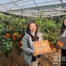 탐진농장 이미지