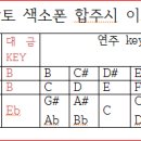 산조 대금과 알토 색소폰 합주시 이조 key 이미지