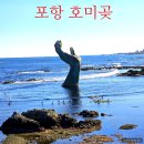 포항바다화석박물관 | 경북 가볼만한곳 포항 해맞이 명소 호미곶 해맞이광장 상생의 손