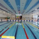 포항수영장 수영장 이미지