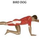 바디온짐 이미지