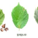 창룡도서관 이미지