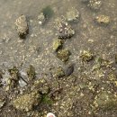 놀터캠핑장 이미지