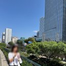 인사동 - 양평군 용문시장2길 2 | 나인트리 인사동 내돈내산 추천 후기 및 할인 예약 꿀팁