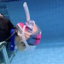 샘아쿠아라인 이미지