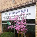 들풀 담소 이미지