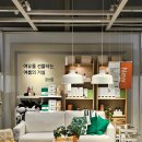 도도애견샵 | [일상] 이케아 고양 가구 쇼룸 소파 윙체어 구경 리뷰 -