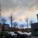 강남모터스 이미지