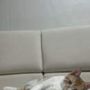 사림로-1 이미지