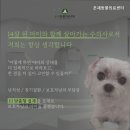 동수원동물병원