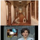 학창 시절 친근했던 청소 도구 이미지