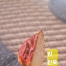 산북정원 | 렉스필드 CC, 가을을 담은 라운딩 후기