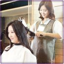 미용사(헤어) 자격증 이미지