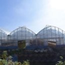 강화섬농장 이미지