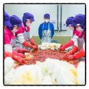전라도똑소리 | 운림가 50년 전통 국산 전라도 김치, 요즘 배춧값에 이건 혜자템!