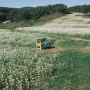 백제컨트리클럽(주) 이미지