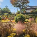 생활수묵화와 우드버닝 이미지