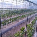 귀중농장 이미지