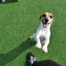 스퀘어독스 서산점 이미지