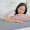 그래핀전기인테리어