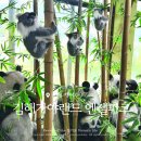 부산근교 경남 김해 가야랜드 놀이기구 볼거리 피크닉