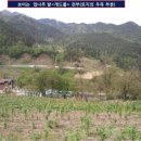 임수형 카카오 검색결과