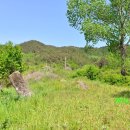 김삿갓 문학동산 시 이미지