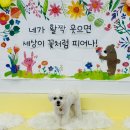 멍뭉호텔 이미지