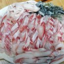 신쭈꾸미(목포점) | 생생정보 장사의신 민어 한상 인천 25년 전통 맛집
