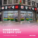 강약국 이미지