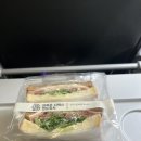 가고파플라워 | 싱가포르 9.25-9.29