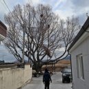 양등경로당 이미지