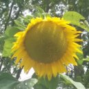 주식회사신라정밀 이미지