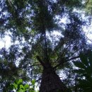 내소사민박 이미지