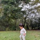 로미하우스 이미지