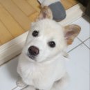 보내농장 이미지