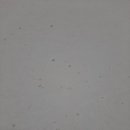 남원체육관 이미지