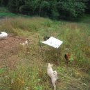 멍순농장 이미지