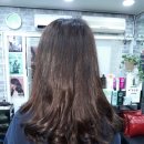 자르세헤어 이미지