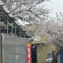 대저국수 | 부산 강서구 ‘ 대저할매국수 ’