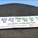 금산한국농장 이미지