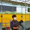 보은질고지흑염소농장 이미지