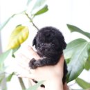 키즈멍 안양본점 이미지