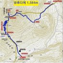 '15년 10월 특별산행 일본 유후다케산 1.584m('15.10.23~25)1 이미지