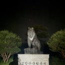 [설악산 공룡능선 등산후기] 초보 등산객의 여덟 번째 도전기… 곰탕 속 공룡 찾으러 갔다가 다리만...