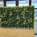 제주시 동백주간활동센터 이미지