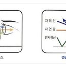 일공공일 이미지