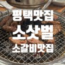 소삿벌 | 평택맛집 소갈비가 맛있는 소삿벌 본점